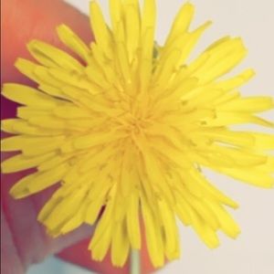 Meet your Posher, Risa